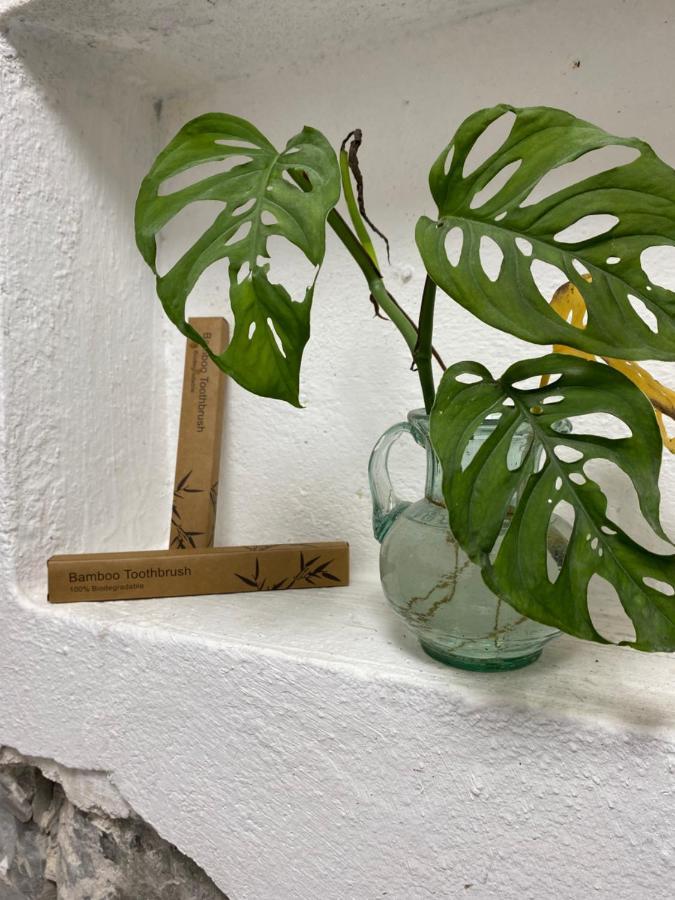 El Acicate Hospedaje Cuetzalán del Progreso Exteriör bild